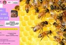 Lecture on honey bee