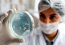 10-Career-Options-Available-for-Microbiology-Honours-Students